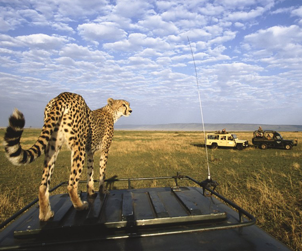 serengeti and ngorongoro