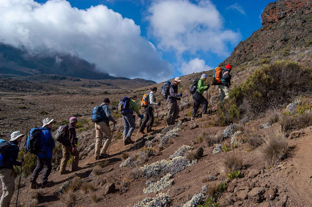Kilimanjaro,Arusha