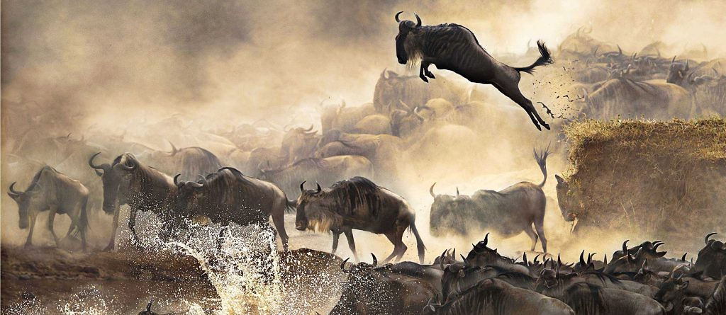 Serengeti National Park
